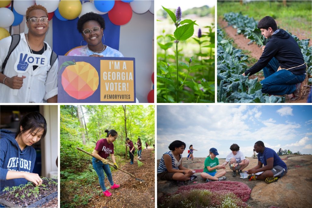 Emory recognizes faculty, students and staff as 2024 Sustainability Innovators